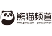 熊猫图标网站建设_(熊猫图标网站建设方案)